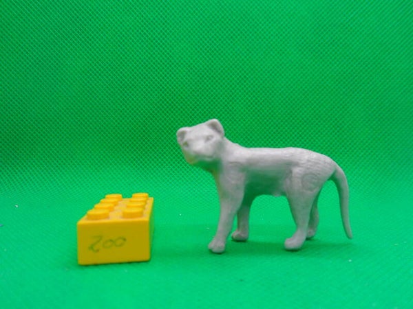 C&L  Beutelwolf  Thylacinus cynocephalus  thylacine  Сумчатый волк  tilacino  袋狼   lobo-da-tasmânia