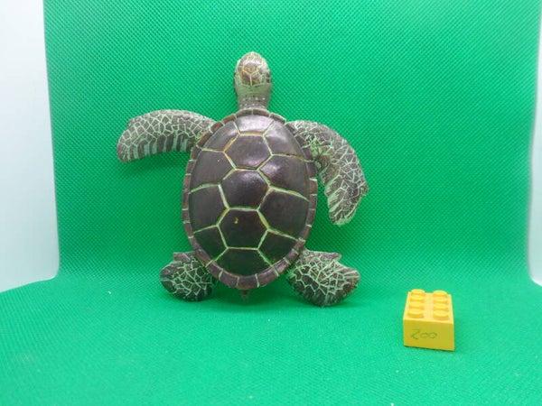 Play Visions Grüne Meeresschildkröte  Green sea turtle  Зелёная черепаха   tortuga verde  Chelonia mydas  Tortue verte