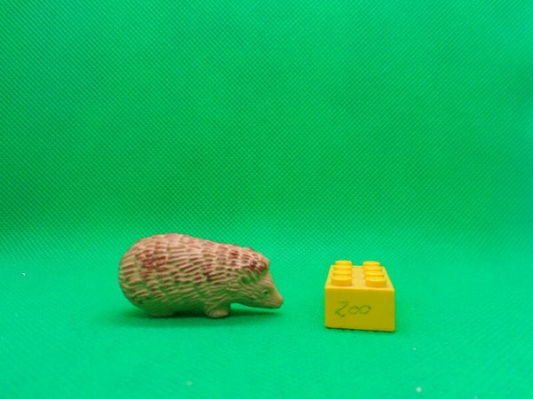 PEC Igel hedgehog  Ежовые  Erinaceidae  érinacéidés  猬科