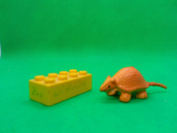 Panini Gürteltier  Armadillo  Dasypoda  dasipódidos  Броненосцевые