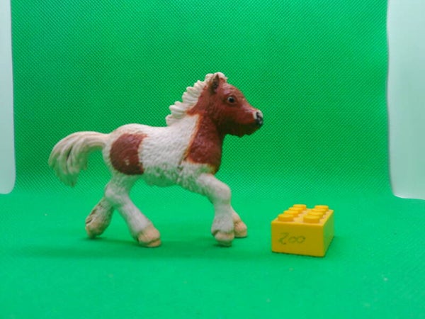 Schleich 13608  Pferd  Shetland Pony Fohlen foal  Poni de las Shetland