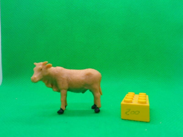 Joy City Ltd  Kuh  cow Gelbvieh German Yellow