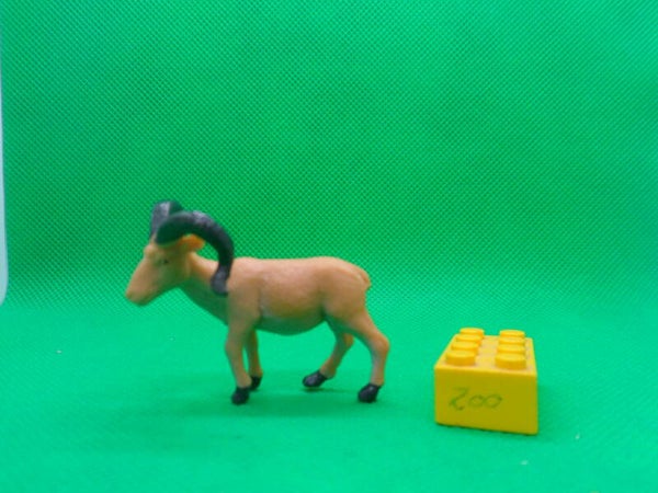 Joy City  Schafbock Schaf Wildschaf  Ovis orientalis wild sheep