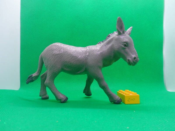 Toy Major  Esel  donkey   Домашний осёл  burro  Âne commun