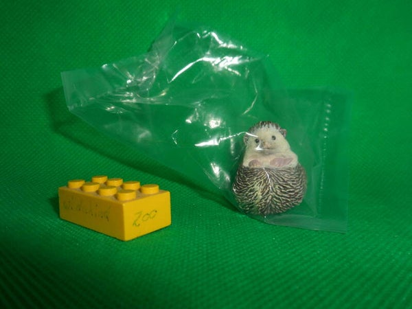 Kaiyodo sitzend Weißbauchigel 3  Igel  Atelerix albiventris  Four-toed hedgehog  erizo de vientre blanco  Hérisson à ventre blanc  Белобрюхий ёж 1