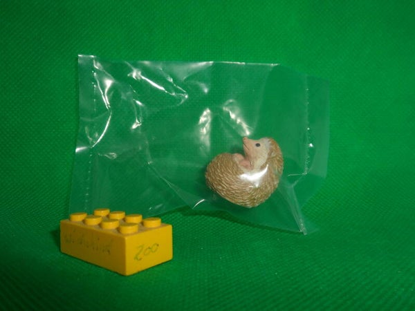 Kaiyodo sitzend Weißbauchigel 2  Igel  Atelerix albiventris  Four-toed hedgehog  erizo de vientre blanco  Hérisson à ventre blanc  Белобрюхий ёж 1