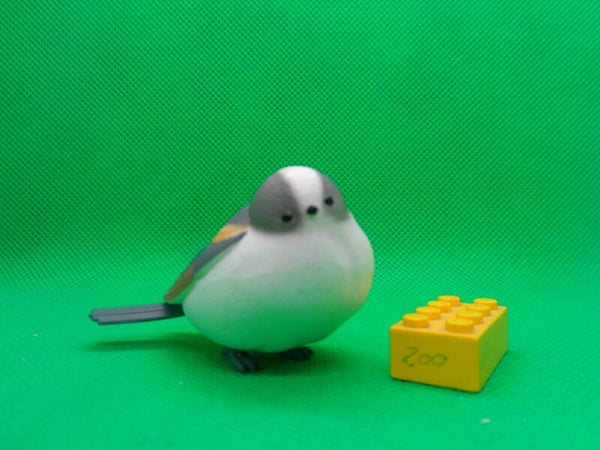 The Movic  Schwanzmeise Aegithalos caudatus  Long-tailed tit  carbonero de cola larga  Mésange à longue queue  Длиннохвостая синица  北长尾山雀  Typ 1