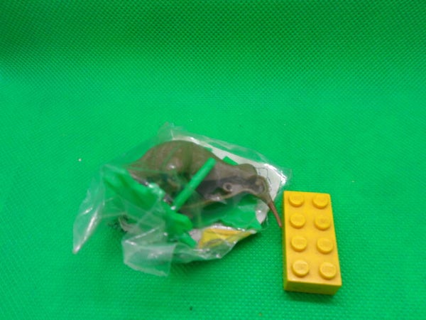 Ricolino Kiwi  Apteryx  Киви  鷸鴕