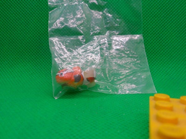 Kitan Club Nature Techni Colour Seehase Fisch  Lumpfish  Eumicrotremus  Круглопёры  orange