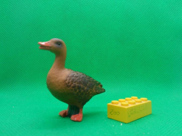 Animal Paradise Oenux  Stockente weiblich Ente  female mallard duck  Кряква  Anas platyrhynchos  ánade real  Canard colvert