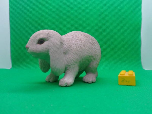 ELC Kaninchen Widderkaninchen Mini Lop rabbit  Lapin bélier  conejo doméstico   Домашний кролик