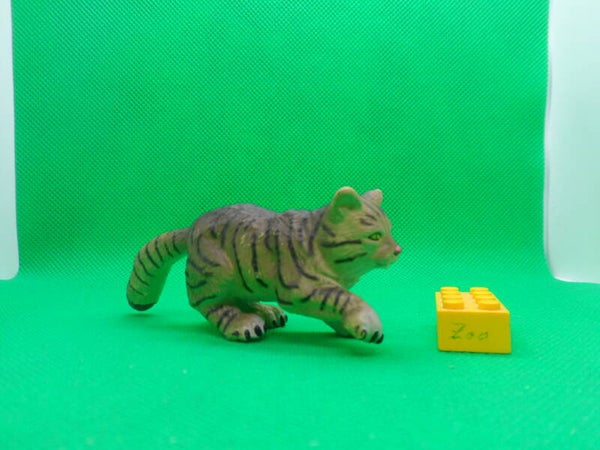 ELC WIldkatze wild cat  gato montés europeo  Felis silvestris silvestris   Среднеевропейский лесной кот  Chat forestier d’Europe  歐洲野貓