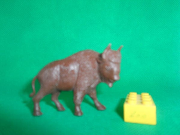 Roche aux Fées  Bison  american bison  bisonte bos Bisons Бизоны