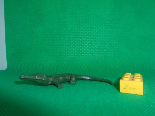 Roche aux Fées  Mississippi  American Alligator  Alligators Аллигаторы