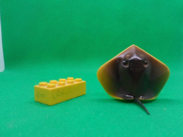 Kitan Club Roter Stechrechen  red stingray  Hemitrygon akajei  Дальневосточный хвостокол