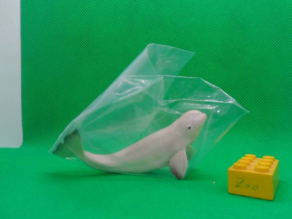 Toymany Beluga  Weißwal  Wal Beluga whale Delphinapterus leucas 2 aus Meerestierrset