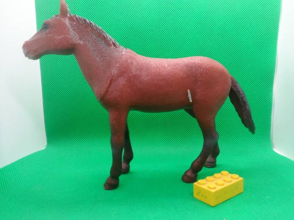 Greenbrier International Inc  Pferd   Horse  Cheval 3