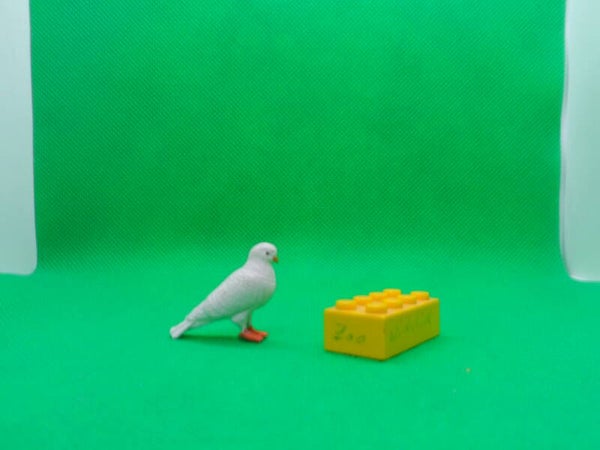 Neca Taube Friendenstaube dove pigeon Голубиные palomas Columbidae