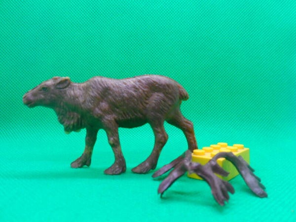 Veb Plaho / Marolin  Rentier  reindeer reno Renne