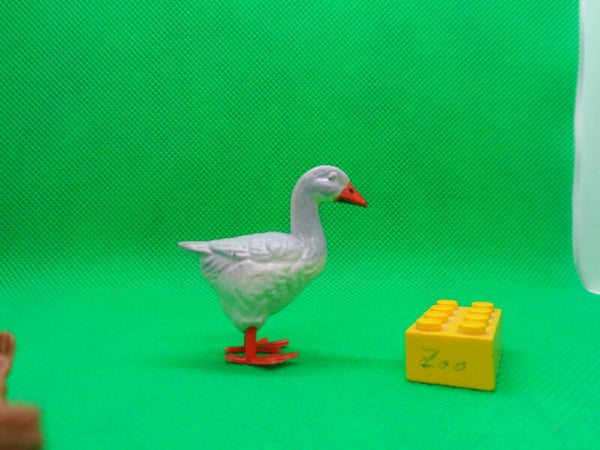 PGH Effelder  Gans Hausgans domestic goose  Домашний гусь  Anser