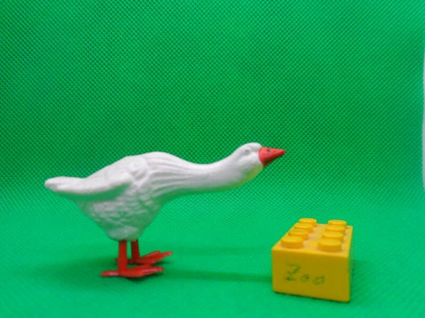 PGH Effelder  zischende Gans Hausgans domestic hissing  goose  Домашний гусь  Anser