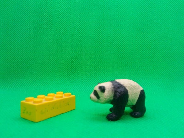 K&M Großer Panda - Jungtier Bambusbär  panda cub  Großer Panda Ailuropoda melanoleuca Giant panda oso panda Panda géant Большая панда 2