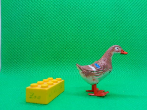 PGH Effelder  Stockente weiblich Ente Erpel female mallard duck Кряква Anas platyrhynchos ánade real Canard colvert