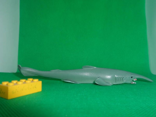 Blue Ocean Planet Wow  Koboldhai Hai Goblin shark Акула-домовой  tiburón duende  Mitsukurina owstoni Requin-lutin