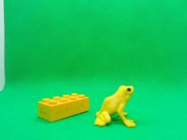 Schleich Weltretterbande Goldener Pfeilgiftfrosch  Golden poison frog  Ужасный листолаз  Phyllobate terrible  Phyllobates terribilis  rana dorada venenosa