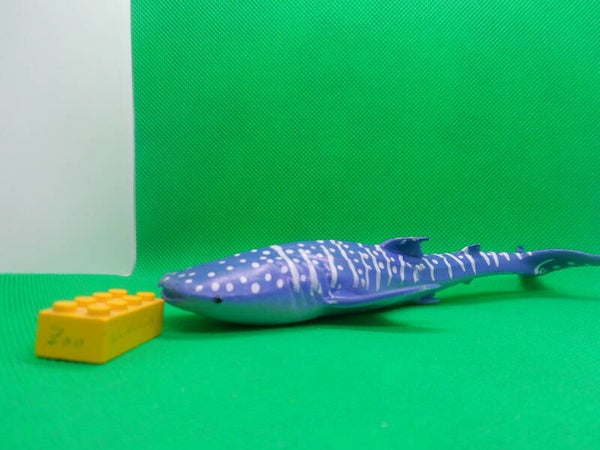 Blue Ocean Planet Wow  Hai Wahlhai  Whale shark  Rhincodon typus  Китовая акула  tiburón ballena  requin-baleine