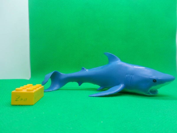 Blue Ocean Planet Wow Megalodon Otodus megalodon  megalodonte  mégalodon   巨齿鲨