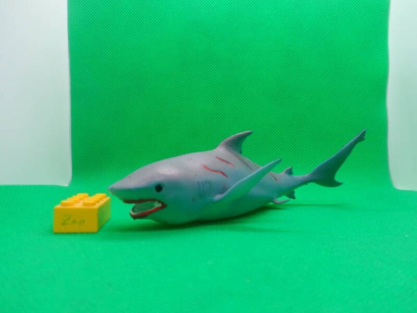 Blue Ocean Planet Wow Hai Bullenhai bull shark  Carcharhinus leucas  Тупорылая акула  tiburón sarda  requin-bouledogue 公牛鯊