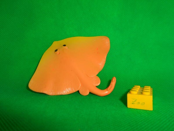 Mc Donalds  Schmetterlingsrochen Rochen  Gymnura  Butterfly ray   Скаты-бабочки