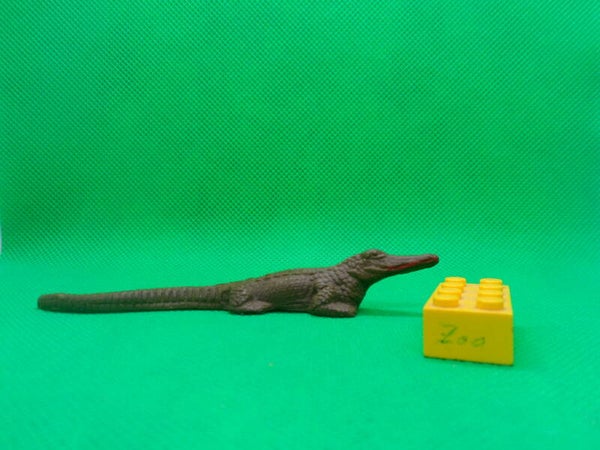 Clairet  Panzerkrokodil slender-snouted crocodile  faux-gavials d'Afrique   настоящих крокодилов.