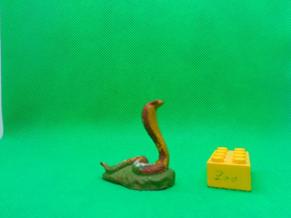 JIM Brillenschlange Kobra indian cobra Naja Naja