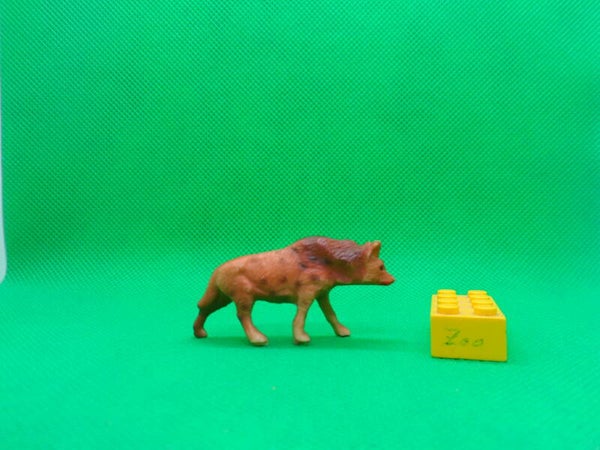 Clairet  Tüpfelhyäne  Crocuta crocuta  Spotted hyena  Hyène tachetée   hiena manchada  Пятнистая гиена  斑鬣狗