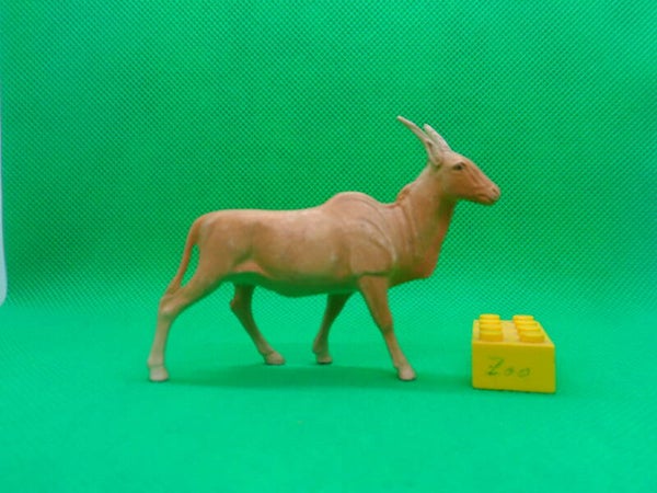Clairet  Elenantilope common  Eland  Éland  eland común  Taurotragus oryx  Канна
