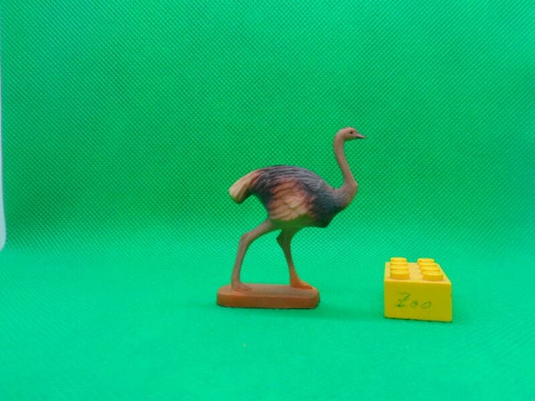 Clairet  Vogel Afrikanischer Strauß  ostrich  Struthio camelus  Африканский страус  avestruz    autruche d’Afrique