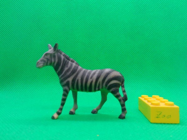 Clairet  Zebra  Hippotigris  zèbres cebra Зебры  Equus quagga