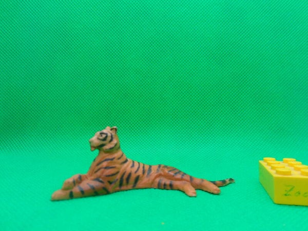Clairet Tiger liegend  tiger lying   Тигр   Panthera tigris   tigre  虎 (Kopie)