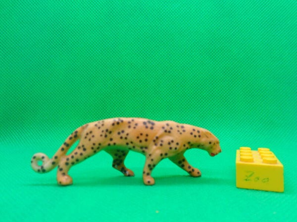 Clairet Leopard Леопард Panthera pardus leopardo Léopard Panthère