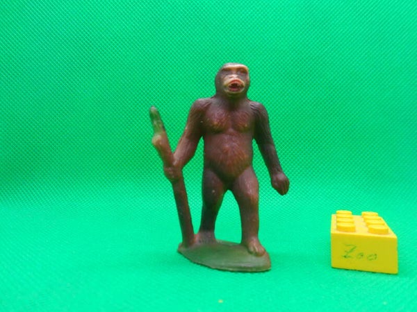 Clairet  Gorilla gorilas Gorille Гори́ллы