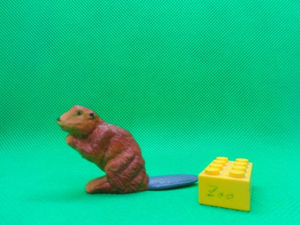 Starlux Biber north american beaver Castor бобр
