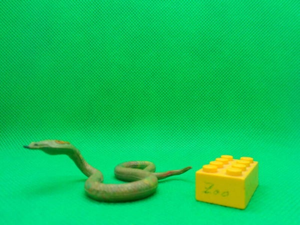 Starlux  Brillenschlange Kobra indian cobra Naja Naja