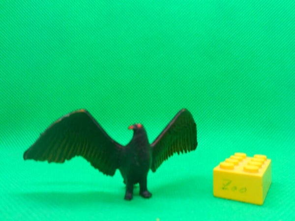 Starlux  Adler Steinadler  Eagle  Aigle  Aquila  Águila  Орёл