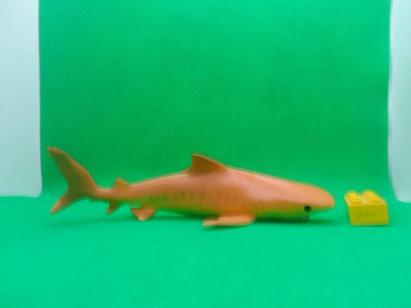 Blue Ocean Planet Wow Tigerhai Hai tiger shark Galeocerdo cuvier Тигровая акула tiburón tigre Requin-tigre