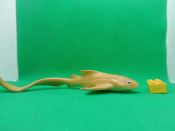 Blue Ocean Planet Wow  Hai  Zebrahai  Stegostoma tigrinum  Zebra shark  Зебровая акула  requin-zèbre   tiburón cebra
