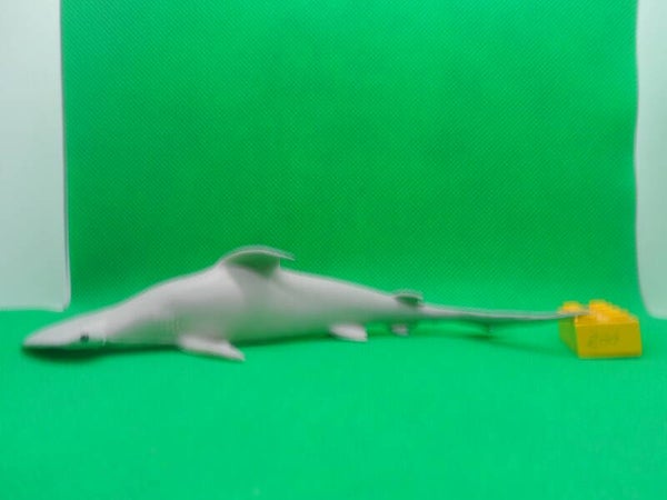 Blue Ocean Planet Wow  Hai  Schaufelnasen-Hammerhai  Sphyrna tiburo  Bonnethead shark  Requin-marteau tiburo   tiburón cabeza de pala  窄头双髻鲨