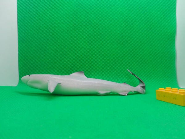 Blue Ocean Planet Wow  Hai  Schwarzspitzen-Riffhai  Carcharhinus melanopterus  Blacktip reef shark  Мальгашская ночная акула  tiburón punta negra de arrecife  Requin à pointes noires