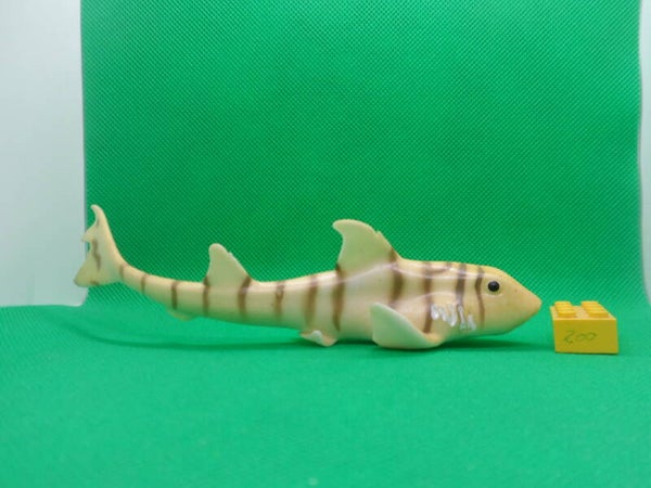 Blue Ocean Planet Wow  Hai  Zebra-Stierkopfhai  Heterodontus zebra  suño acebrado  requin dormeur zèbre   zebra bullhead shark  Зебровидная бычья акула